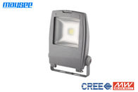 Epistar COB Chip 10W RGB LED Flood Light Outdoor IP65 do oświetlenia krajobrazu