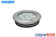 Zanurzalne oświetlenie pływackie LED z lampą LED Cree 110lm / w